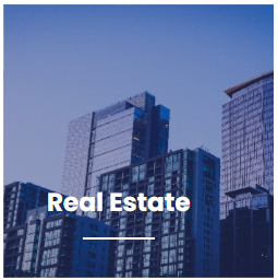 Real Estate